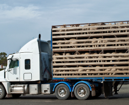 truck-finance-4